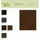 OLeaf Tan Galicia