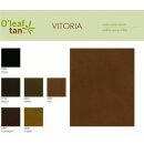 OLeaf Tan Vitoria 2122 - ebony