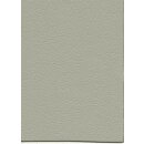 Bonbonfarben Premium Z75 1989 - platin