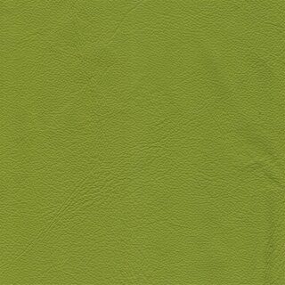 Klassikfarben Serie Z59 2150 - neongrün