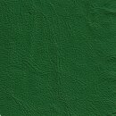 Klassikfarben Serie Z59 2250 - grasgrün