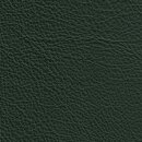 Klassikfarben Serie Z59 2450 - dunkelgrün