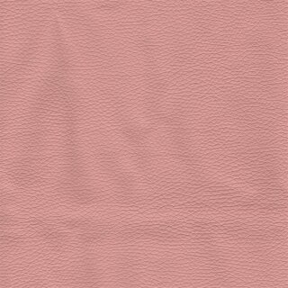 4400 - rosa 2009