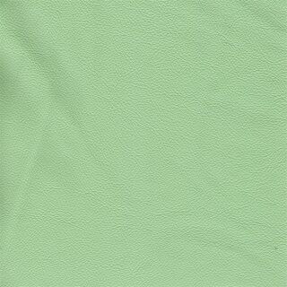 3250 - mint