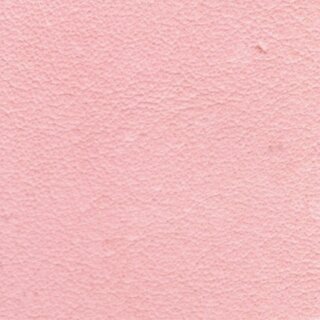 323 - baby rosa