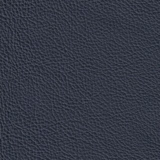 3750 - blau 29