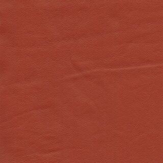 4810 - corallrot