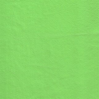 Kawasaki grün