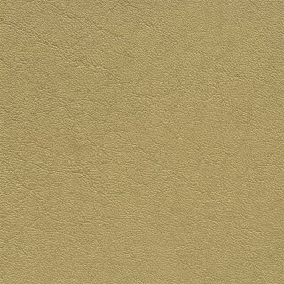 1170 - champagner