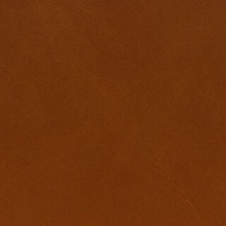4800 - pumpkin