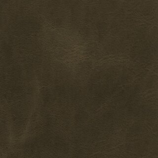 7247 - fango