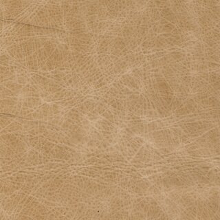Canyon 3845 sand